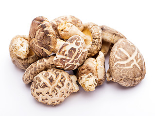 Image showing Dried shiitake isolated on white
