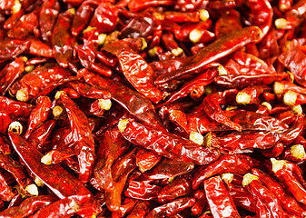 Image showing Red Chili peppers