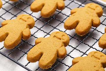 Image showing Homemade gingerbread cookies