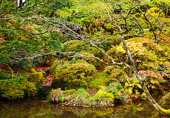 Image showing Forest and lake during autumn