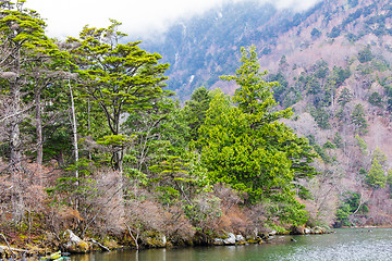 Image showing Lake and forest