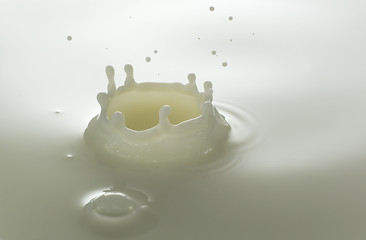 Image showing milk