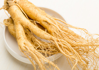 Image showing Ginseng