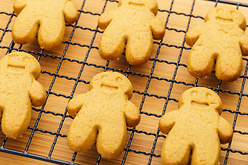 Image showing Baked gingerbread cookies 