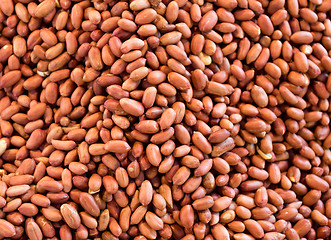 Image showing Peanut kernels