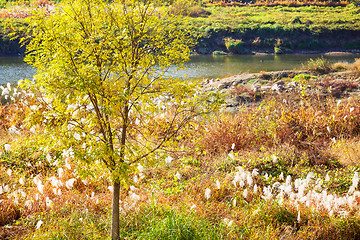 Image showing Natural landscape during autumn season