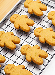 Image showing Gingerbread cookies