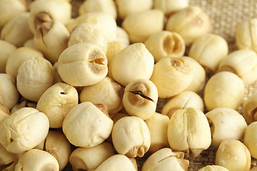 Image showing Group of lotus seed