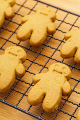 Image showing Homemade gingerbread cookies 