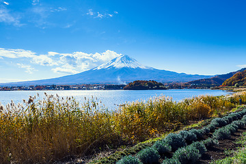 Image showing Mt. Fuji during autumn