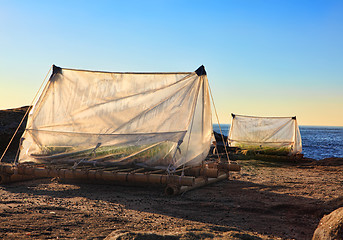 Image showing Sculpture by the Sea exhibit