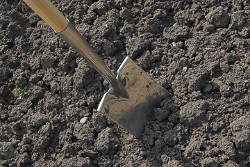 Image showing Digging