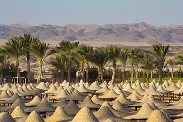 Image showing desert in egypt in marsa alam