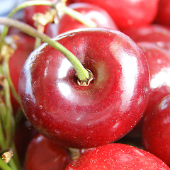 Image showing Cherry picture