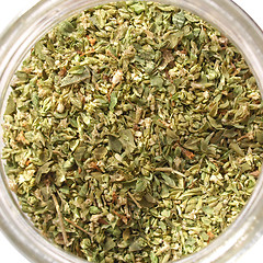 Image showing Oregano picture