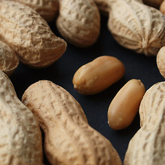 Image showing Peanut picture