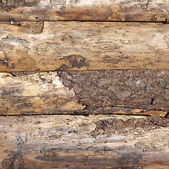 Image showing Wood picture