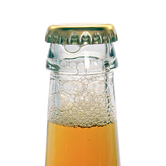 Image showing Beer bottle