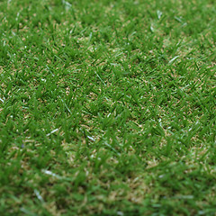 Image showing Synthetic grass