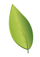 Image showing Eco leaf