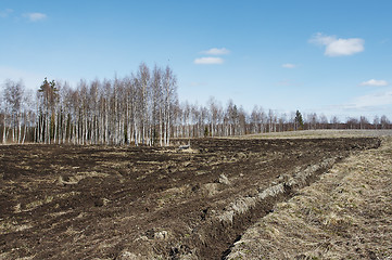 Image showing Spring is coming