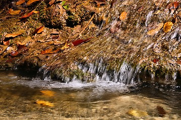 Image showing Thailand nature