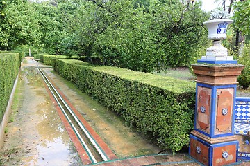 Image showing Alcazar gardens in Sevilla