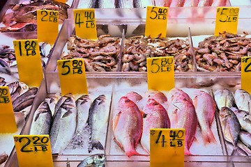 Image showing Seafood