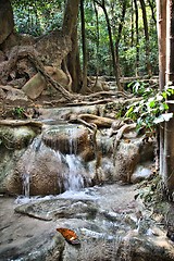 Image showing Thailand - national park