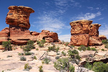 Image showing Canyonlands National Park