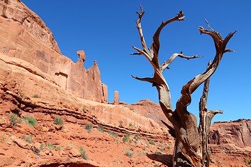 Image showing Arches National Park