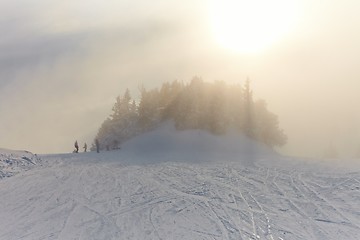 Image showing Winter Landscape