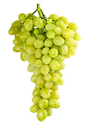 Image showing isolated bunch of grapes