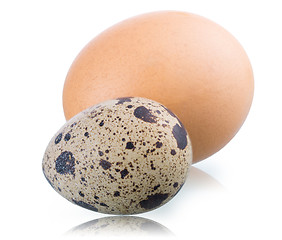 Image showing quail and hen's eggs on white background 