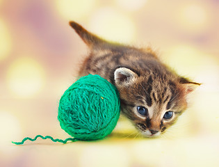 Image showing little kitten playing with a ball