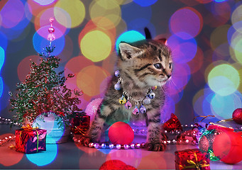 Image showing small  kitten among Christmas stuff