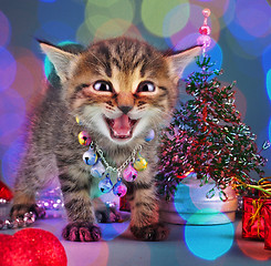 Image showing small  kitten among Christmas stuff