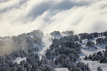 Image showing Skiing