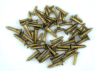 Image showing Brass screws