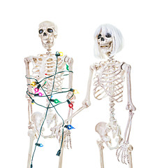 Image showing Captive Christmas Skeleton