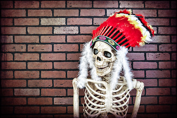 Image showing Native American Skeleton