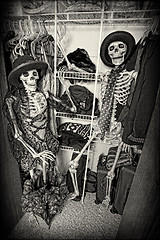 Image showing Closet Skeletons