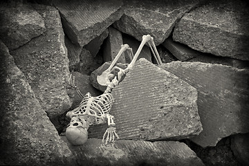 Image showing Apocalypse Skeleton