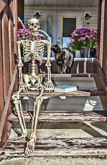 Image showing Backstep Skeleton & Black Cat