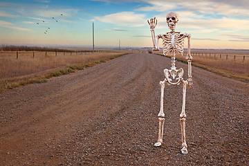 Image showing Country Roads Skeleton