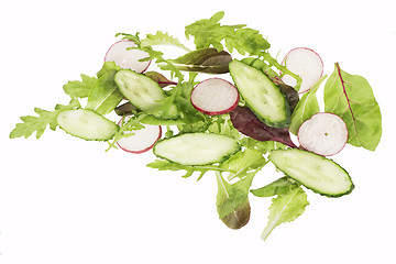 Image showing cut cucumbers, garden radish and lettuce leaves