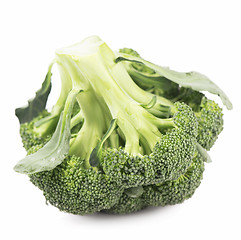 Image showing Broccoli vegetable