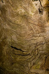 Image showing Wood Texture