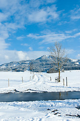 Image showing beautiful sunny landscape in winter with blue sky