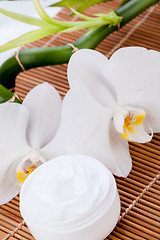 Image showing cosmetic face cream on wooden background 